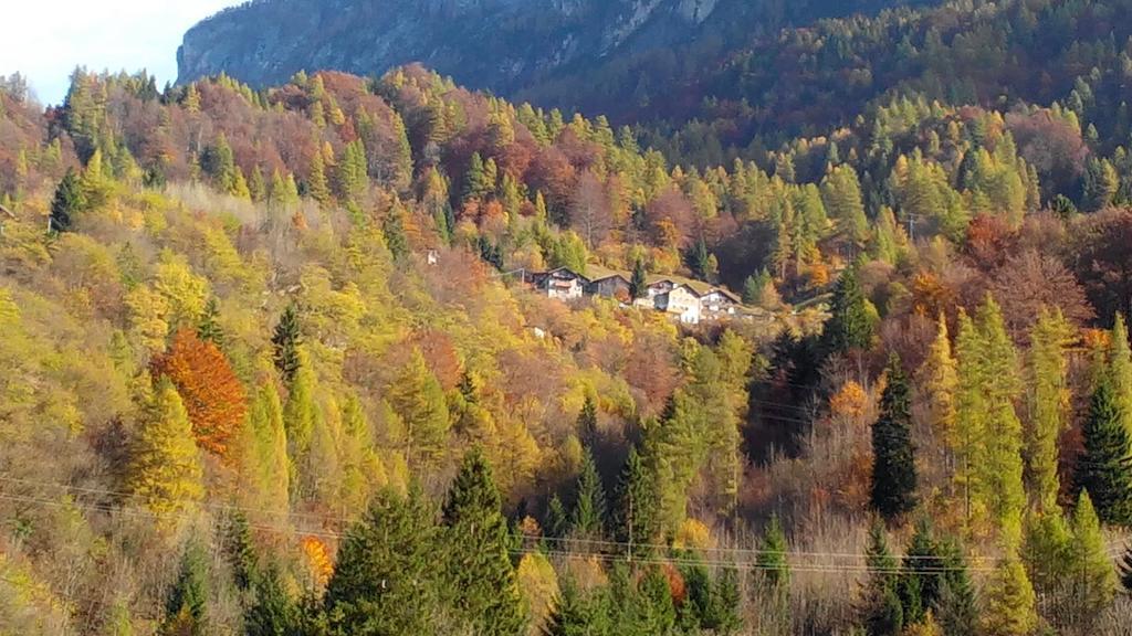 Casa Alpina Villa Cencenighe Luaran gambar